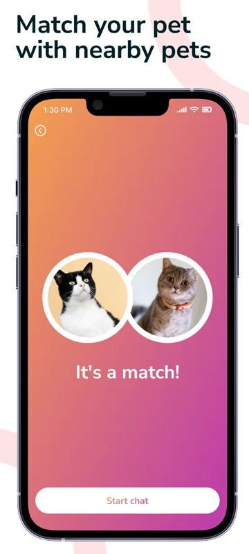 Pet match screen
