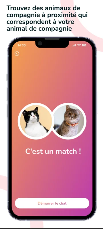 Écran match PetMeeter